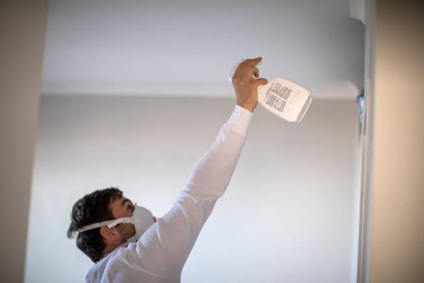 Best Localized Mold Remediation (e.g., coastal areas, humid climates) in Madelia, MN