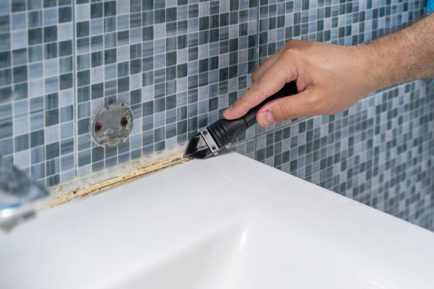 Best DIY Mold Remediation Support Services in Madelia, MN